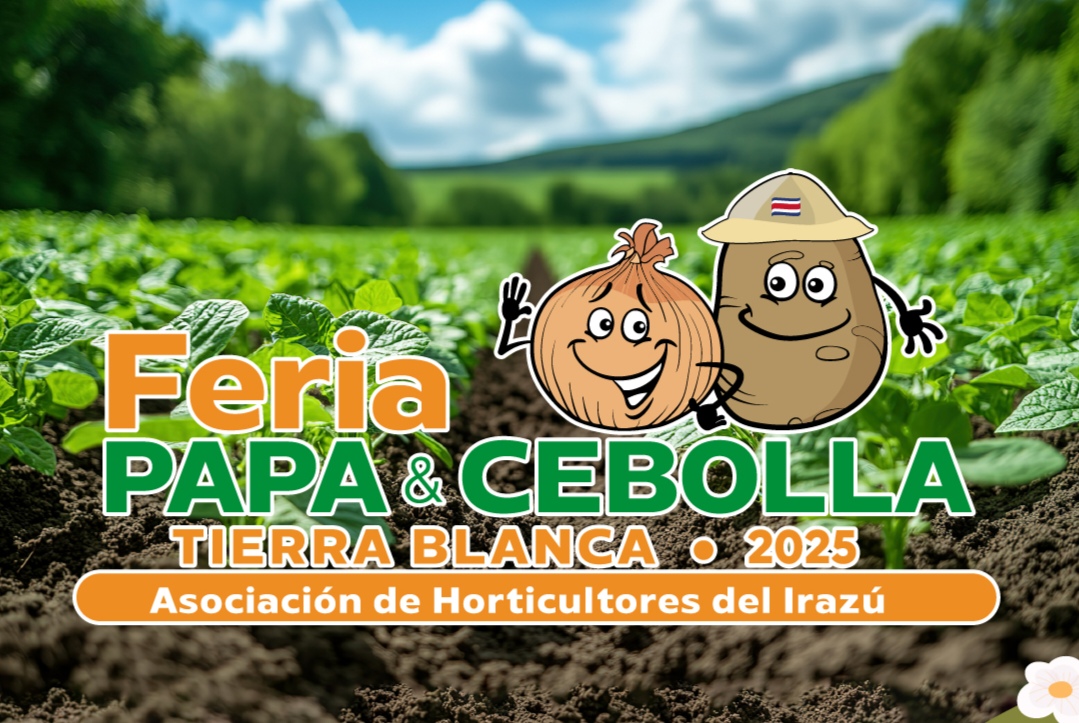Cartago se alista para la papa y la undécima feria de cebolla.