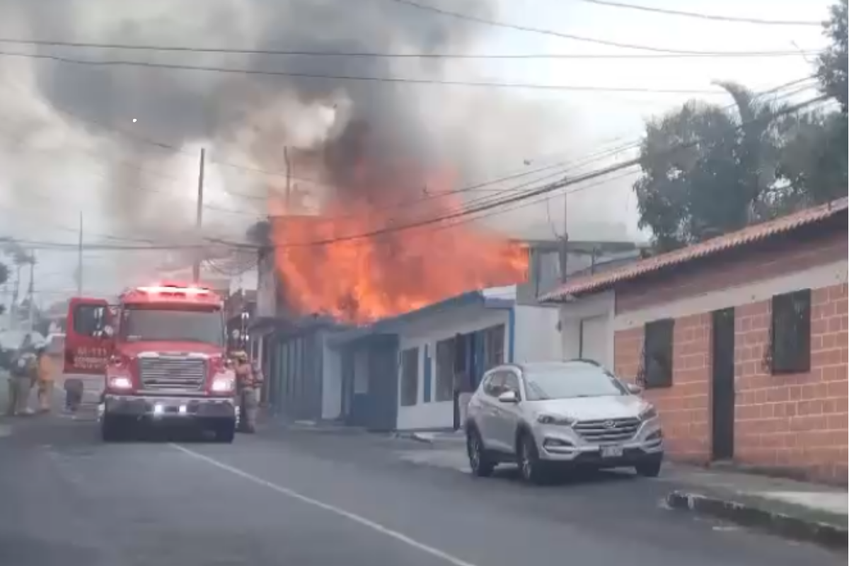 L o s   b o m b e r o s   r e s c a t a n   a   l o s   p e r r o s   e n   t r e s   c a s a s   t r a s   e l   i n c e n d i o