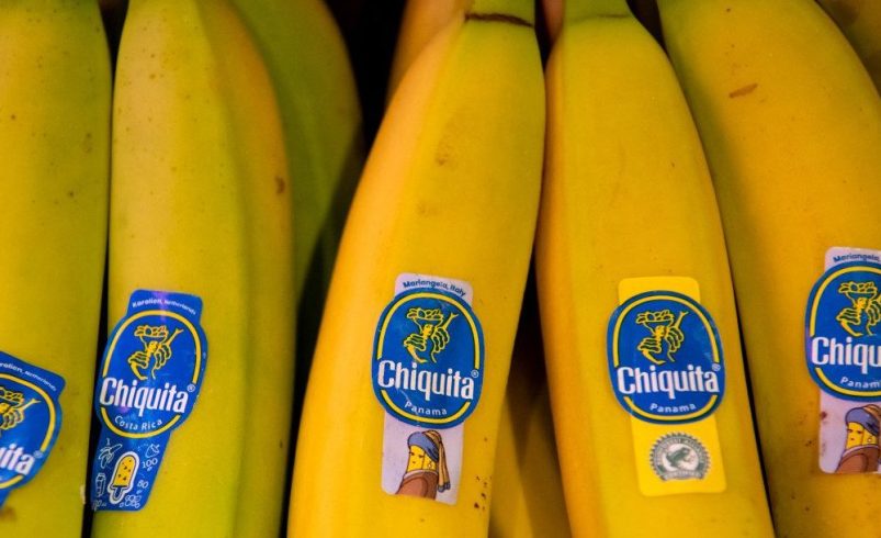Chiquita Panamá Suspende Parte de su Producción de Plátano