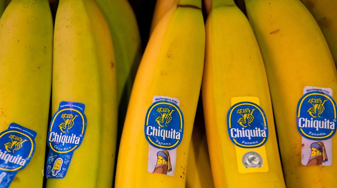 Chiquita Panamá Suspende Parte de su Producción de Plátano