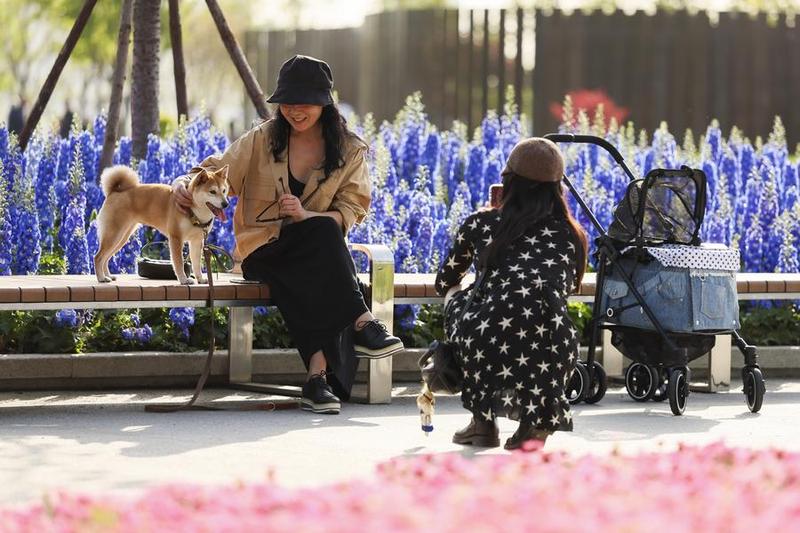 Los jóvenes chinos descubren su vocación en sectores emergentes