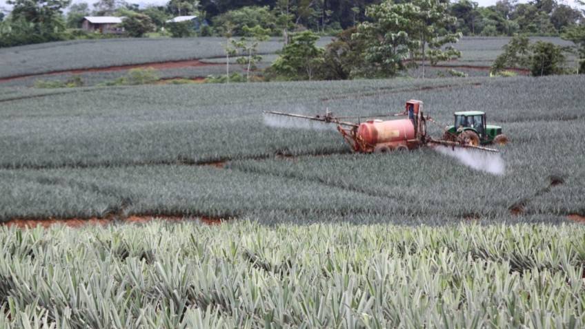 Proyecto de ley para prohibir el uso de pesticidas peligrosos en la asamblea