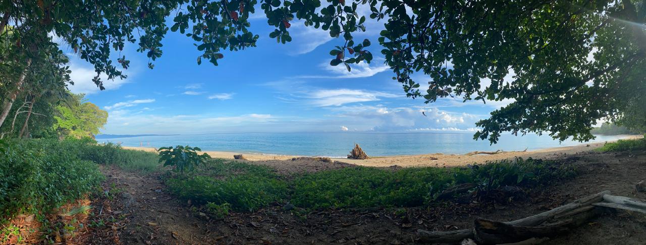 Denuncian al Ministro del Medio Ambiente por irregularidades en el Proyecto Puket en Gandoca-Manzanillo

 – Reporte Tico