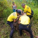 Héroes del bosque! Los bomberos salvan a Venado, que estaba bien en el barro

 – Reporte Tico