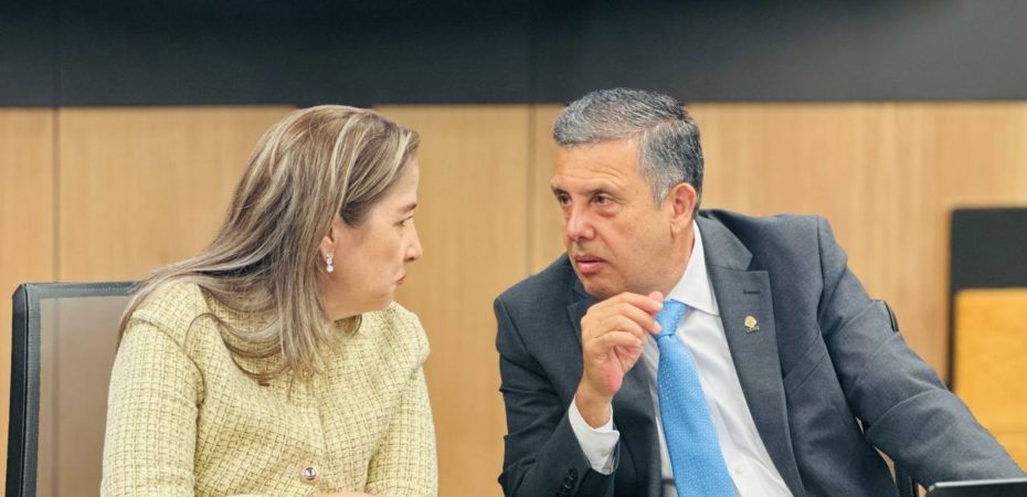 Los diputados en la libertad nacional no votarán sobre la transferencia de la liberación de Eurobons

 – Reporte Tico