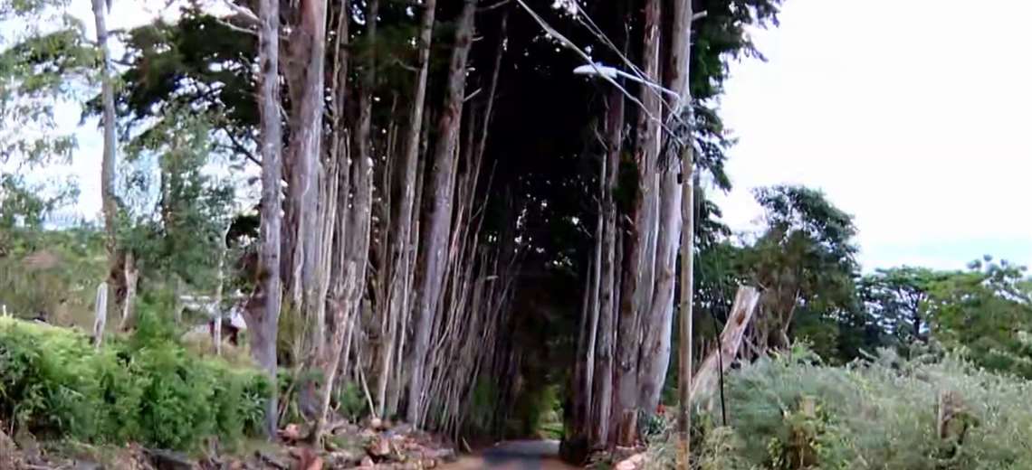 Intentan explicar «El Tirol» como un paisaje y un monumento natural en San Rafael de Heredia

 – Reporte Tico