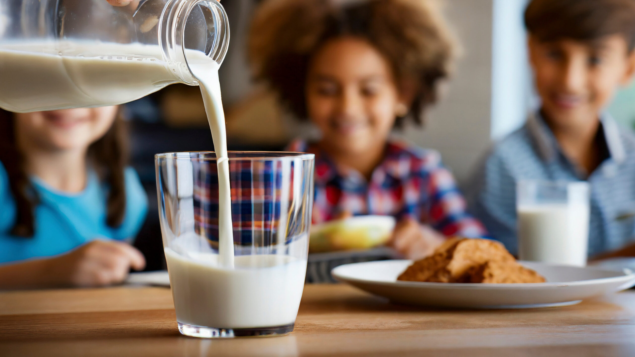 Leche y lácteos: aliados esenciales para la salud integral

 – Reporte Tico