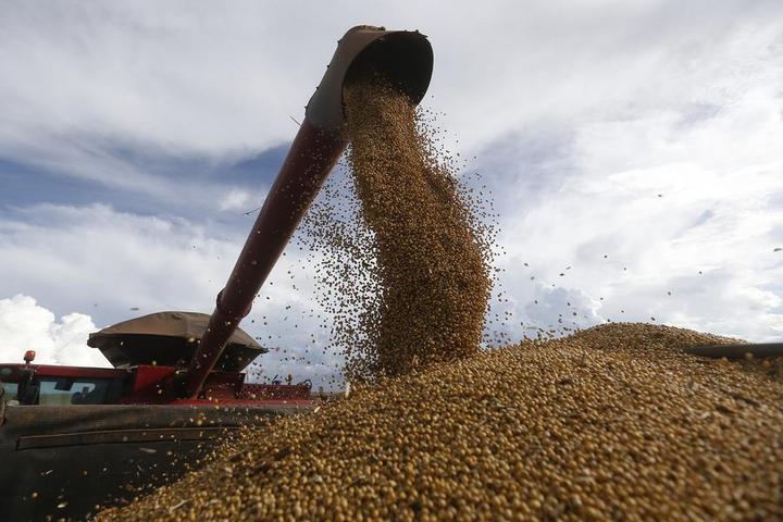 Brasil está esperando la cosecha de más de 300 millones de toneladas de cereales

 – Reporte Tico