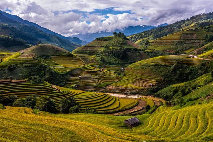 Reunión de la frontera de esclavos de China y Vietnam sobre cooperación judicial

 – Reporte Tico