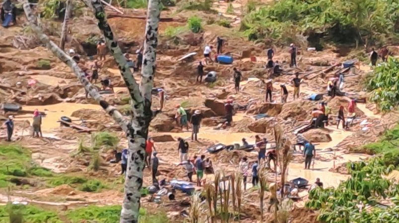 Los suplentes visitarán un crucero para verificar el extracto de oro ilegal en el área

 – Reporte Tico