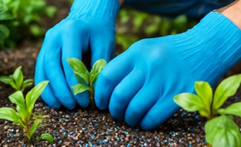 Microplásticos de alimentos: una amenaza invisible nacida en campos agrícolas

 – Reporte Tico