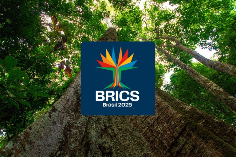 BRICS garantiza mecanismos impositivos para combatir la desigualdad y el fortalecimiento del cronograma de la COP30

 – Reporte Tico