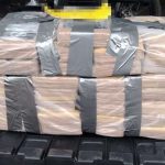 Narco Network, que proporcionó grupos locales de San José Kokain

 – Reporte Tico
