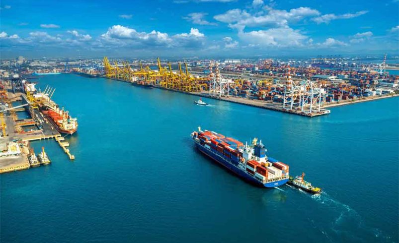El inversor chino podría participar en la venta de cebollas en Panamá

 – Reporte Tico