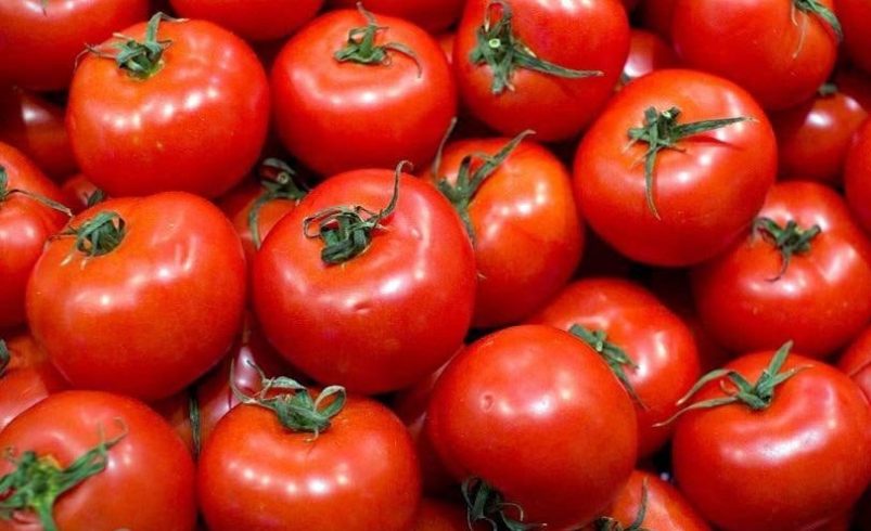 Ahora impone un arancel de 17.09% al tomate mexicano y se retira según 2019. Años.

 – Reporte Tico