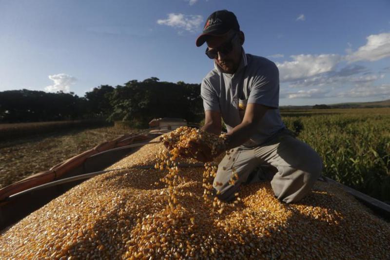Brasil, «Tierra del futuro» |  – Reporte Tico