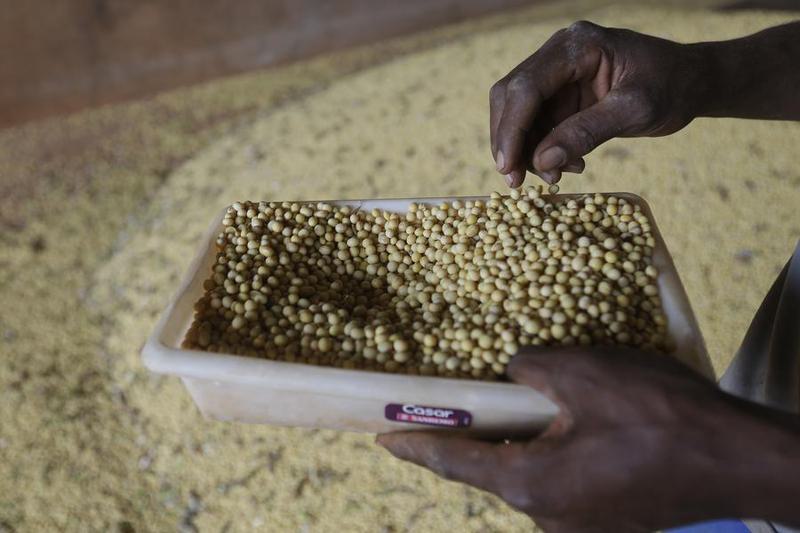 Brasil financiará productores agrícolas medianos y grandes

 – Reporte Tico