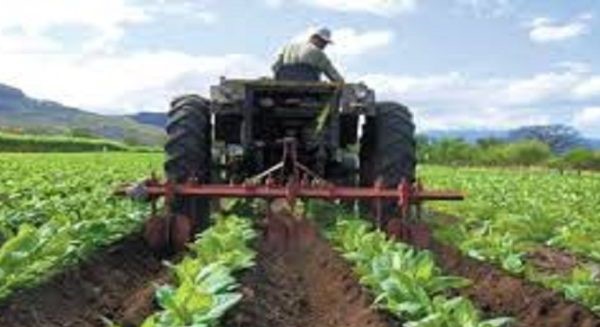 Venezuela expone un avance de Agri -fod para FAO con utilidad prominente

 – Reporte Tico