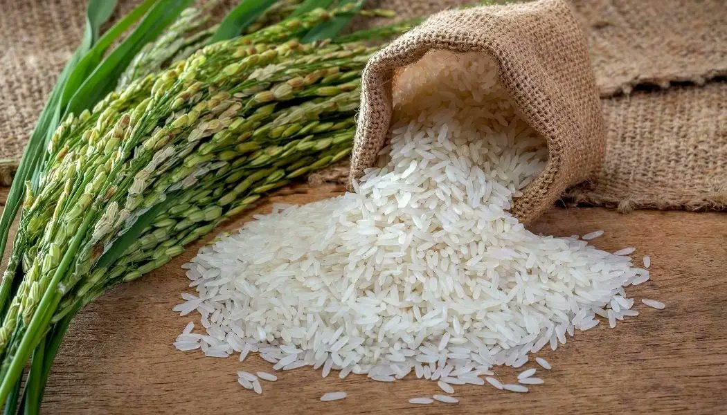 Administración Americana. Cancelar el informe anual de seguridad alimentaria

 – Reporte Tico