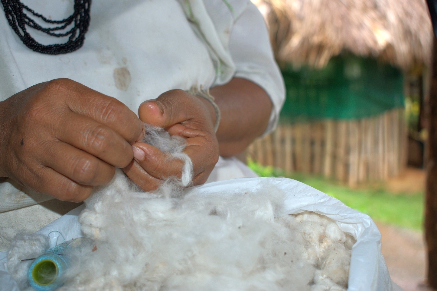 Project + Cotton muestra el fruto de la cooperación en el sur del sur de la comunidad campesina colombiana

 – Reporte Tico