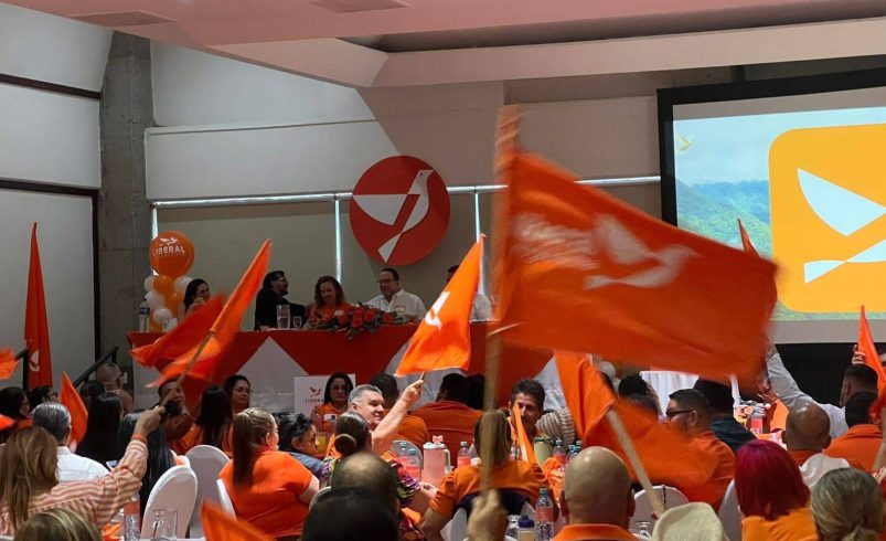 Resolución de PLP Acta del TSE y repetirá la elección de candidatos para los consejos

 – Reporte Tico