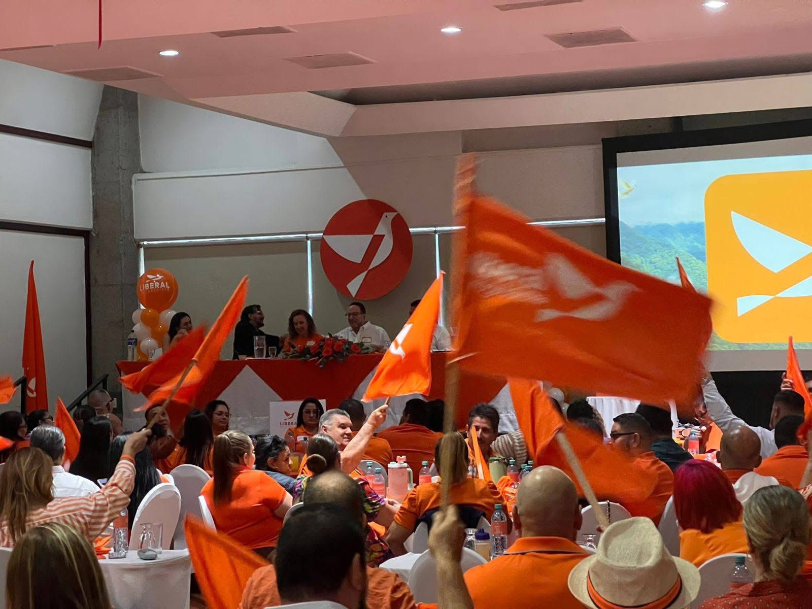 Resolución de PLP Acta del TSE y repetirá la elección de candidatos para los consejos

 – Reporte Tico