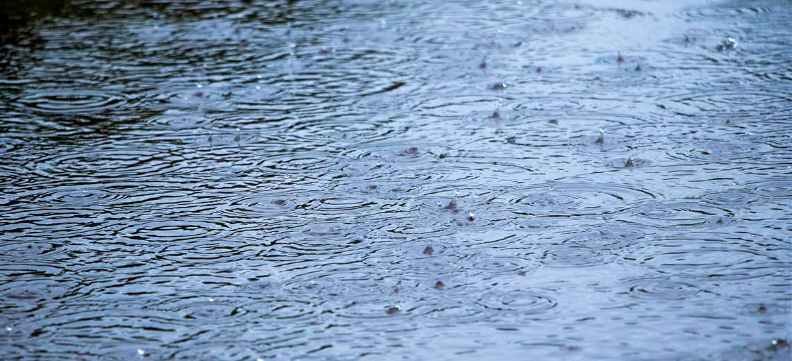 CNE visitó casi 300 incidentes para fuertes lluvias en el Pacífico Central y Guanacast

 – Reporte Tico
