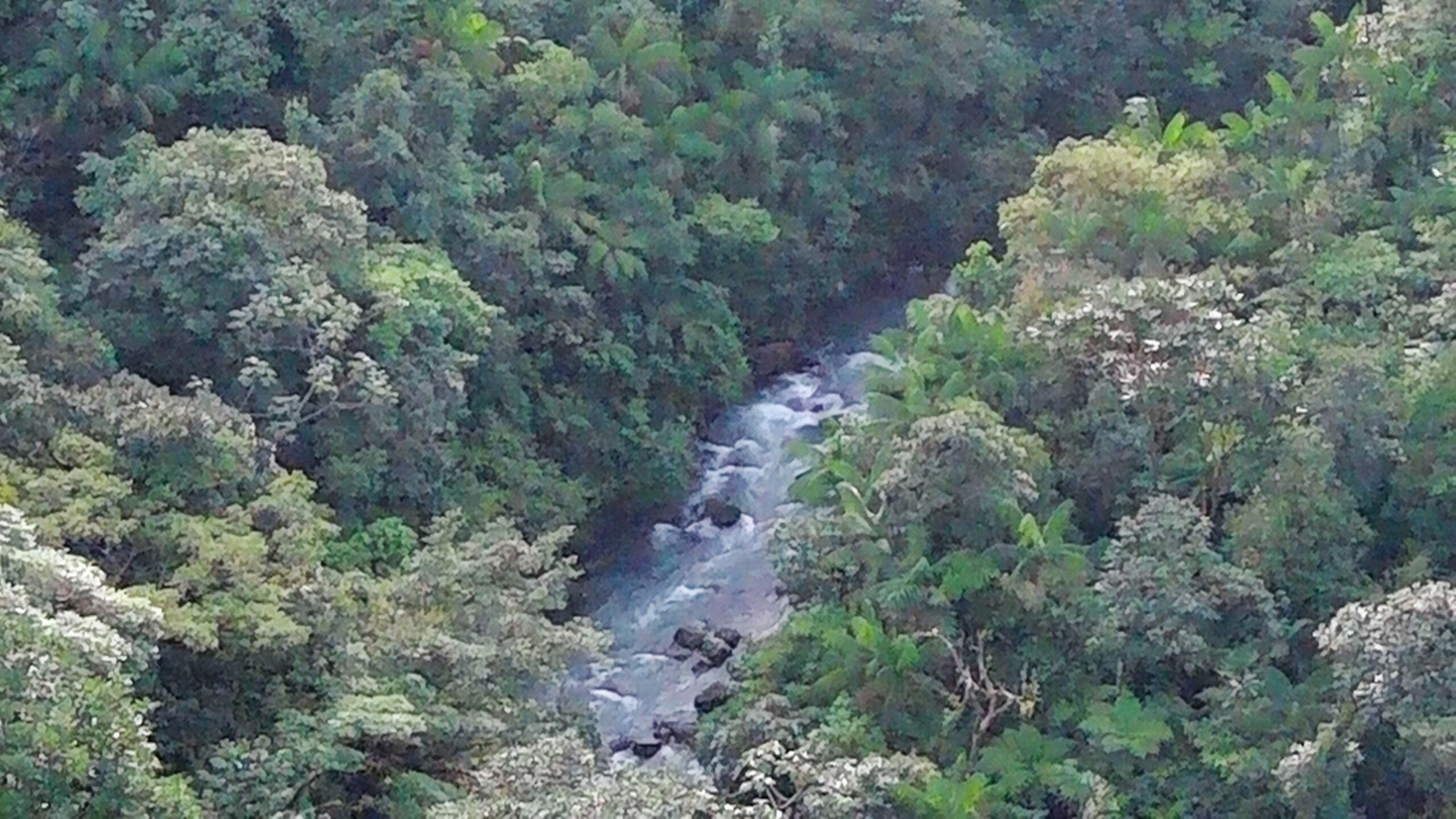 Viajes turísticos a Costa Rica Otoño de este año

 – Reporte Tico