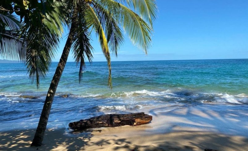 La oficina del fiscal solicita medidas de precaución para proteger el refugio de la vida silvestre Gandoca Manzanillo

 – Reporte Tico