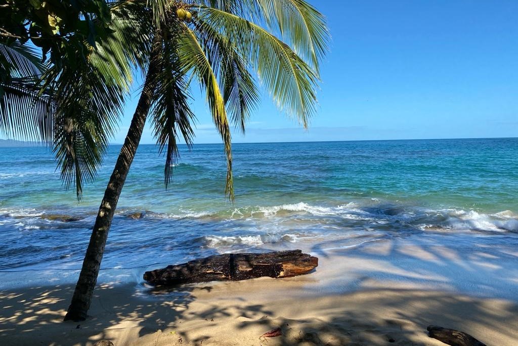 La oficina del fiscal solicita medidas de precaución para proteger el refugio de la vida silvestre Gandoca Manzanillo

 – Reporte Tico