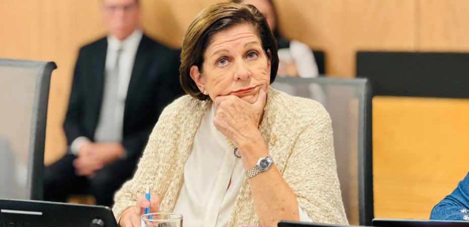 «Nos parece una contradicción», dice Cisneros de Pilar en la disolución de TSE para continuar conferencias, pero no anunciarlas

 – Reporte Tico