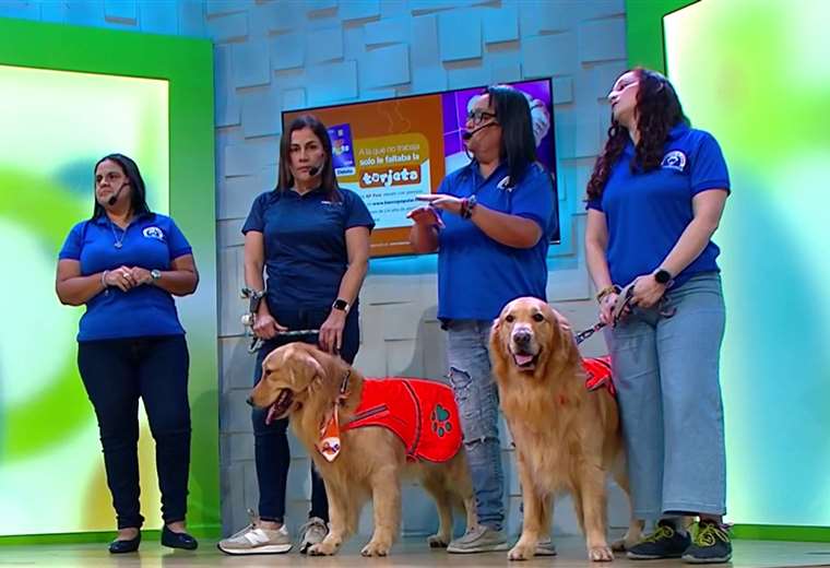 Perros que curan con amor: así es como funciona el escuadrón de ayuda en Costa Rica

 – Reporte Tico