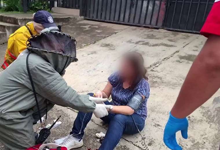 Emergencia en Zapote: tres personas heridas y muertas después del ataque de las abejas africanas

 – Reporte Tico