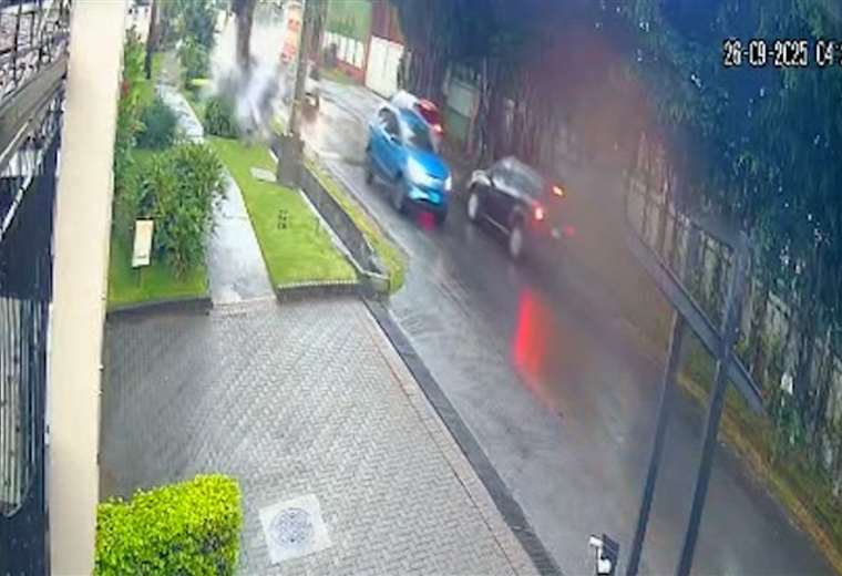 El video graba en el momento en que los conductores ebrios caen contra el árbol en Escazú

 – Reporte Tico