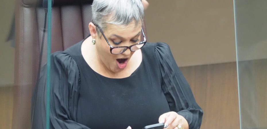 El diputado Carolina Delgado acusa a Álvaro Ramos de violencia política por sacarla de la campaña

 – Reporte Tico