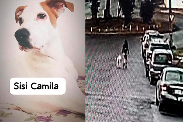 Joven desaparece en Desamparados luego de pasear a su perro