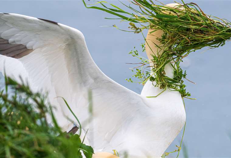 Nikon Wildlife Awards: las fotografías de animales más divertidas de 2025

 – Reporte Tico