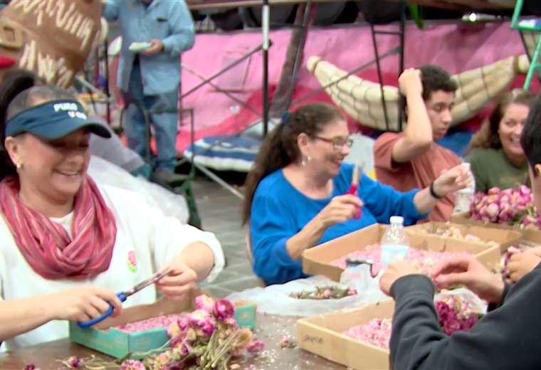 Tica participa en la confección de una de las carrozas del Desfile de las Rosas

 – Reporte Tico