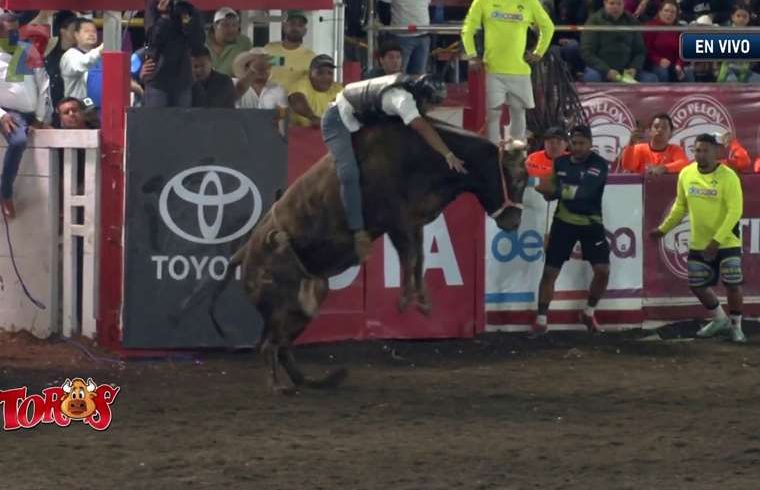 Jinete del Antiplano: “Tengo la nariz rota y cuatro cortes”

 – Reporte Tico