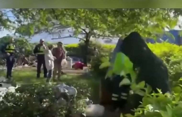 Rotonda de San Sebastián: Enfoque en consumo de drogas, delincuencia y ocupación ilegal

 – Reporte Tico