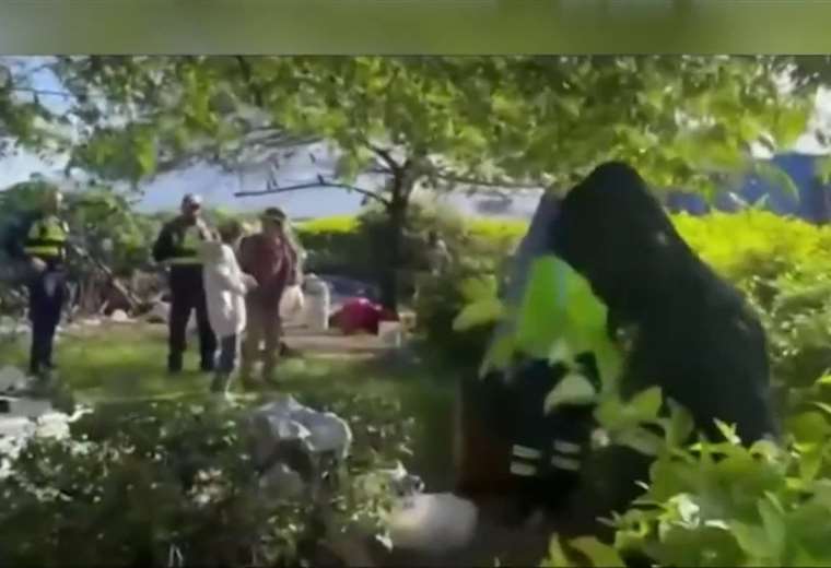 Rotonda de San Sebastián: Enfoque en consumo de drogas, delincuencia y ocupación ilegal

 – Reporte Tico