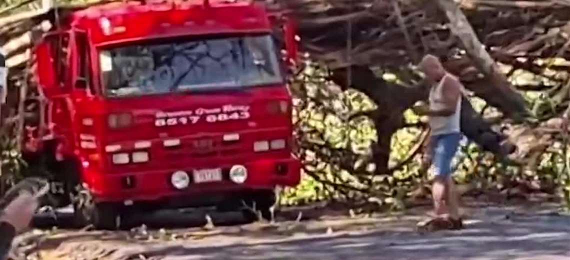 Enorme árbol cae sobre grúa y casi provoca tragedia en Puntarenas

 – Reporte Tico