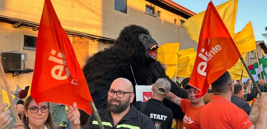 El PLP obtuvo los votos más caros al comparar la participación en las urnas y el gasto en publicidad; PLN y PPSO entre los más bajos

 – Reporte Tico