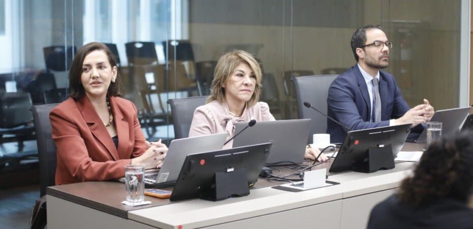 La jueza Patricia Solano sorprendentemente veta ley de sentencia: ‘nunca encontramos un problema constitucional’

 – Reporte Tico