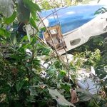 Video: Dos adultos y un adolescente sobreviven a un accidente aéreo en San Carlos

 – Reporte Tico