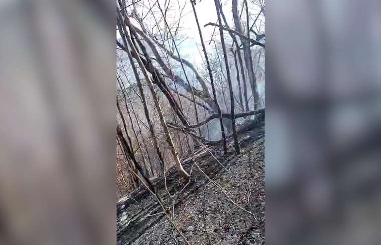 Según Minae, cazadores ilegales son sospechosos de provocar incendios forestales en Isla Venado

 – Reporte Tico