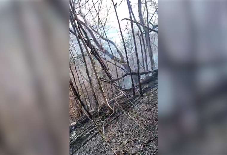 Según Minae, cazadores ilegales son sospechosos de provocar incendios forestales en Isla Venado

 – Reporte Tico