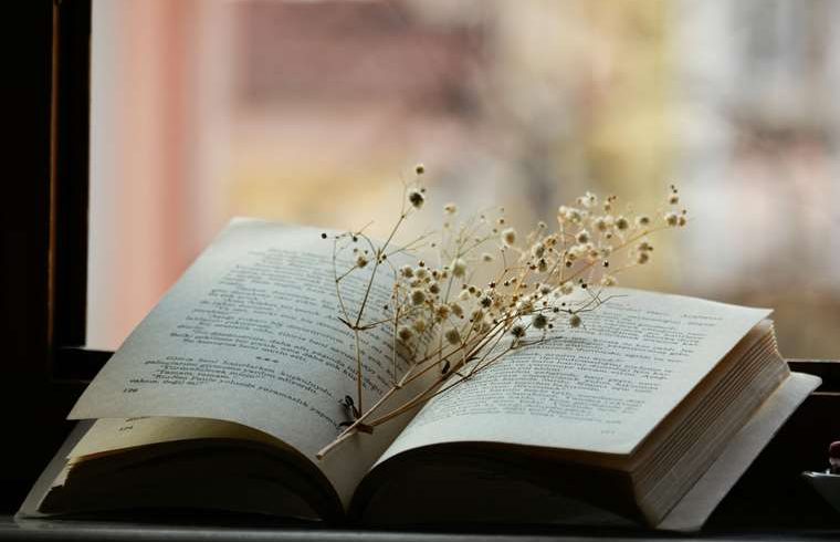 Marzo se llena de versos: Museo de Cultura Popular celebra el Mes de la Poesía

 – Reporte Tico